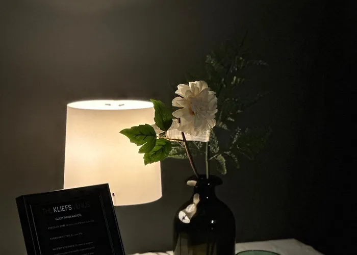 The Kliefs - Virtual Check-in