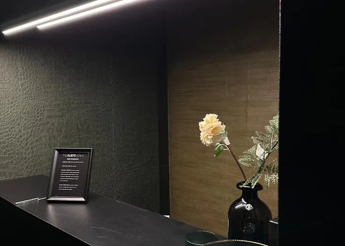 The Kliefs - Virtual Check-in * Vilna